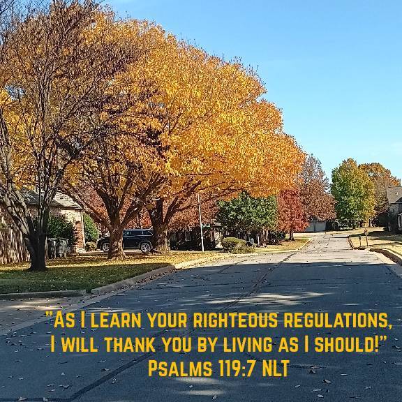 Terry Laudett (@terrylaudett) on Twitter photo 