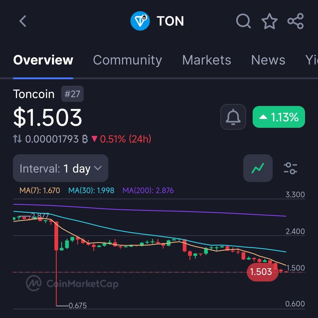 ansarweb3's tweet image. You mean $150 can get me 100 $TON? 🤔