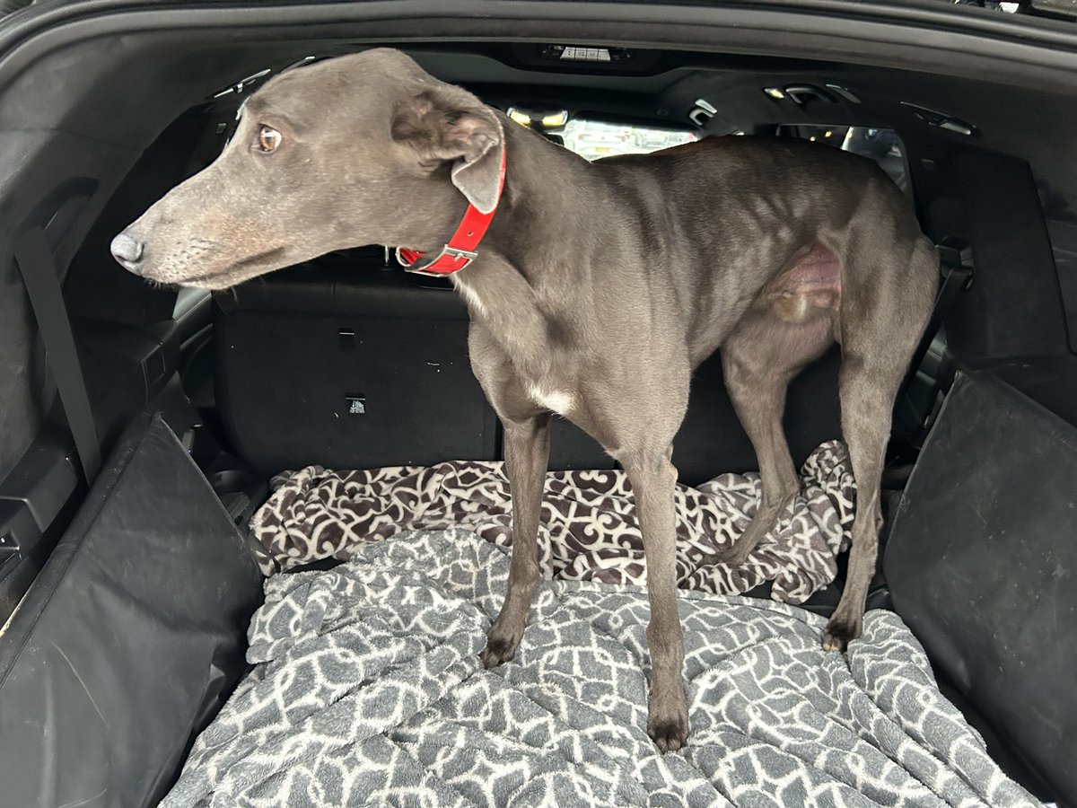 Ben Collins tweet media