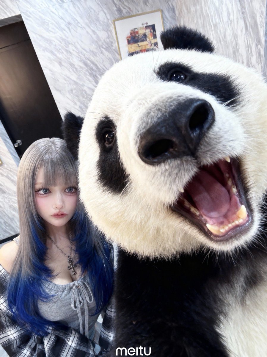 あめはねむい ‎ꧦ𐅁𐀸𐋠𛰙᭜᭜ 🦴𖤐 (@ame__e) / Posts / X