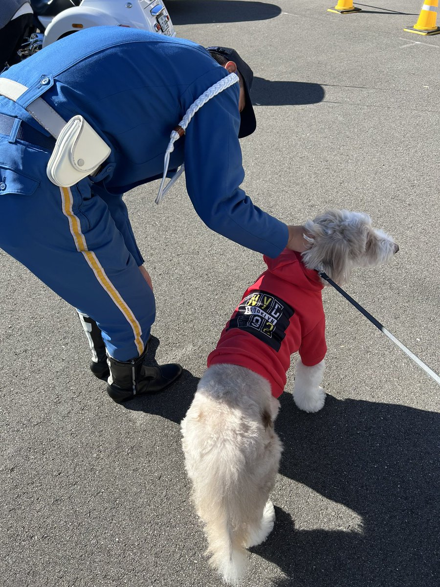 giantrogo's tweet image. 週末の公園散歩