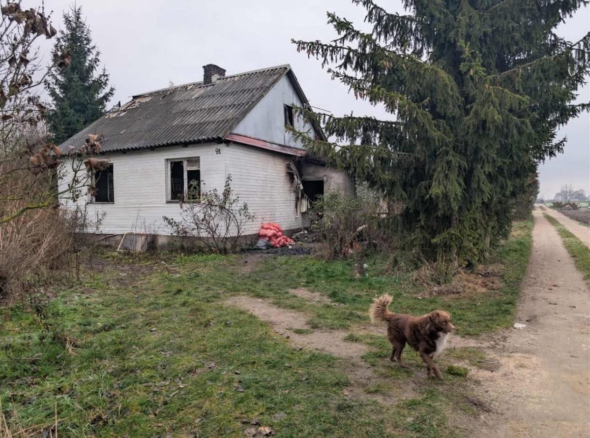 damian_zurawski's tweet photo. Kochani…
Ja tu naprawdę nie płaczę, kiedy to czytam.
To już nie są „historie z internetu”.
To jest prawdziwe życie. I prawdziwa wierność, o której my ludzie często nawet nie mamy pojęcia.

W Radzyniu spłonął dom.
Zginął człowiek.
A z płomieni wybiegł jego pies.
Przerażony, osmalony… ale żywy.

I wiecie, co ten pies zrobił?
Nie uciekł.
Nie pobiegł w świat.
On wrócił.
Chodzi wokół spalonego domu, kręci się po podwórku, szuka…
Bo nie wie, że jego pan już nie wróci.
On tylko czeka.

Mieszkańcy przynoszą mu jedzenie.
Patrzą, jak stoi przy miejscu, które było jego domem.
Jakby pytał: „Gdzie on jest? Kiedy wróci?”.

I powiem Wam jedno 
czasem mam wrażenie, że to nie ludzie uczą psy wierności.
To psy próbują nauczyć jej nas.

Niech ta historia dotrze jak najdalej.
Może ktoś z dobrym sercem da temu wiernemu przyjacielowi nowy dom.🙏