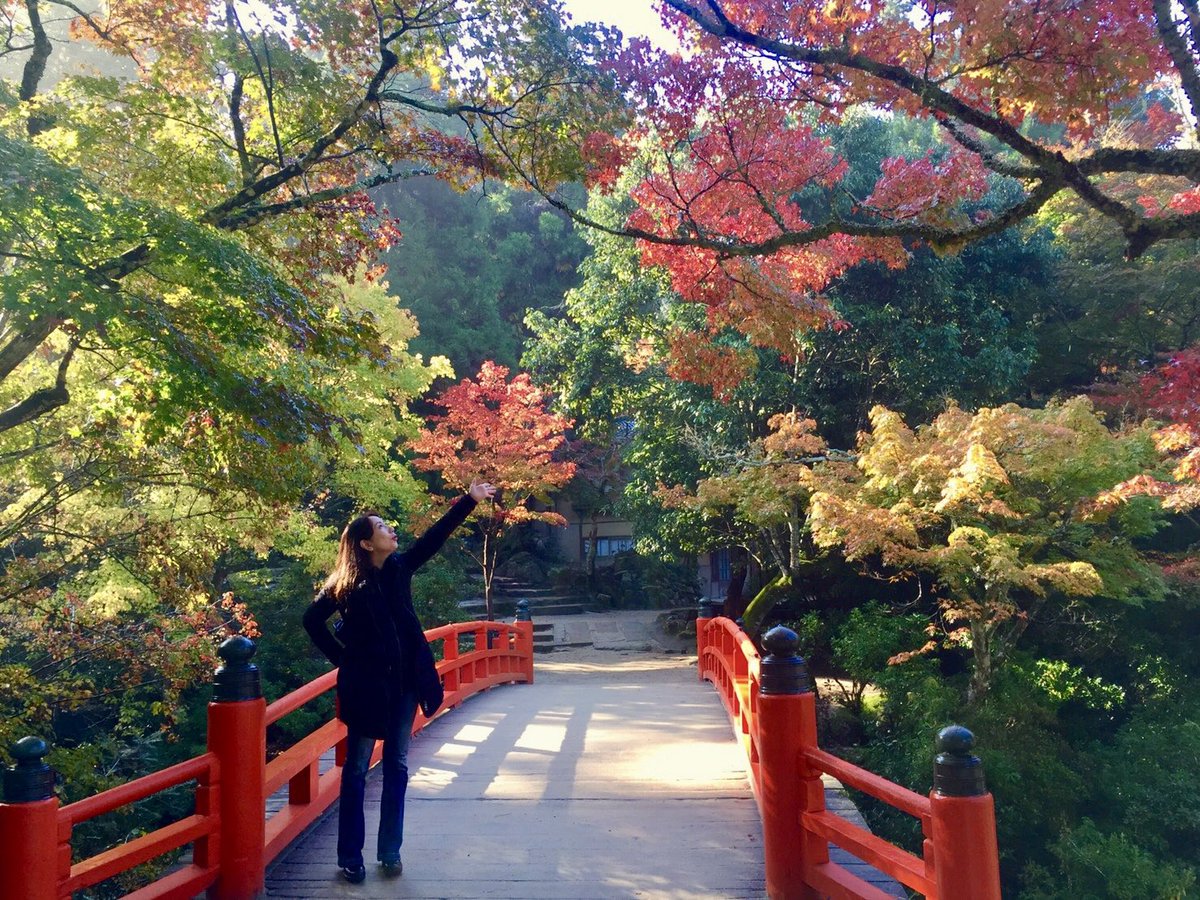今朝、窓の外はこんな景色でした
広島駅近くに宿泊し庄原市に移動して久しぶりに遠方での講演会でした。
山田雅人さんと豊島美雪さんとご一緒させていただき、楽しい一日でした🤗

残りの2枚の写真は数年前に講演会で広島に来た時、帰りに娘と“宮島で待ち合わせ⛩️”と言う面白い計画を立てた時のです🤗
