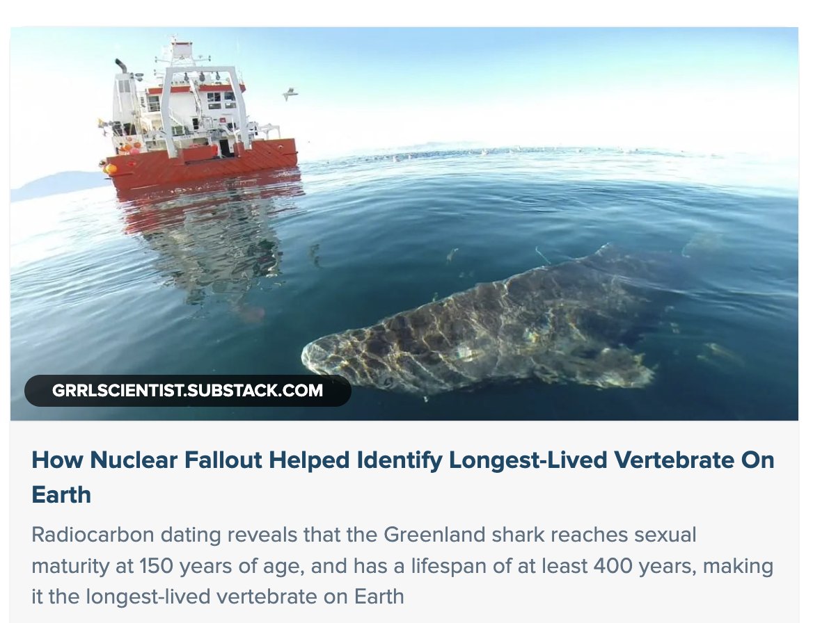 GrrlScientist's tweet image. How Nuclear Fallout Helped Identify Longest-Lived Vertebrate On Earth

#SciComm by @GrrlScientist

#NuclearFallout #GreenlandShark #Arctic #Ageing #Lifespan #evolution #ecology grrlscientist.substack.com/p/how-nuclear-…