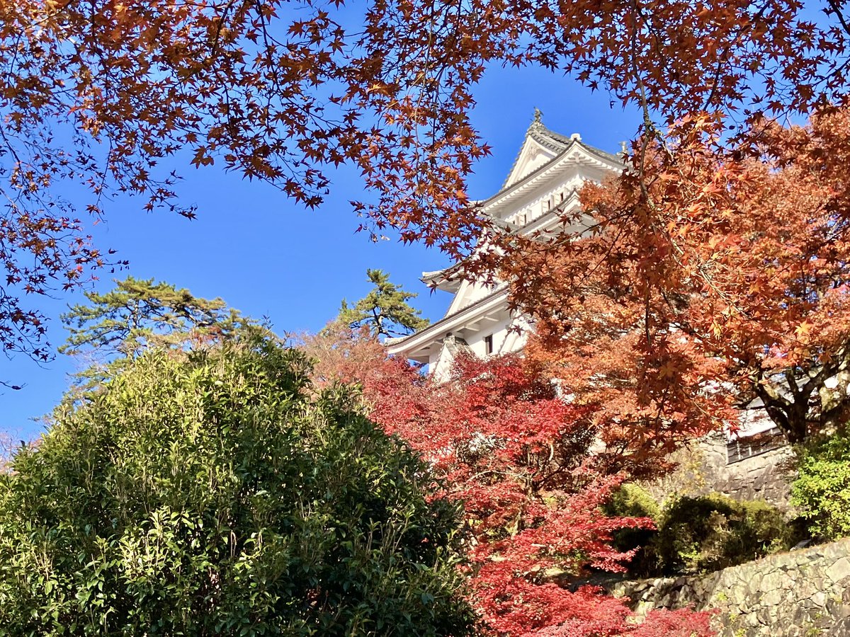 koji_fkae's tweet image. 家族旅行しとります🍁
#MSSPフォト