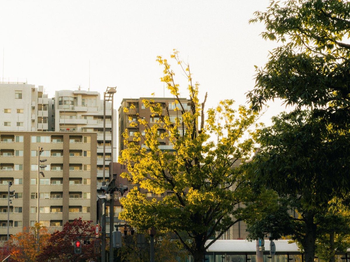 ご心配をおかけしました。
今はもう大丈夫です。