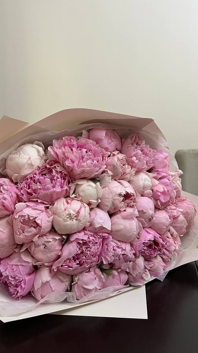 mlkhdj's tweet image. les plus belles