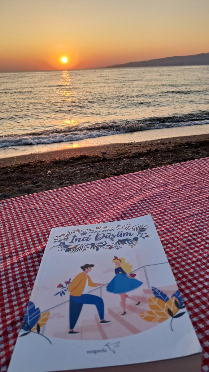 Ben onların sahteliğini, kararmış beyinlerini sevmedim. 
Onlar benim dürüstüğümü ve iyi niyetimi sevmedi...