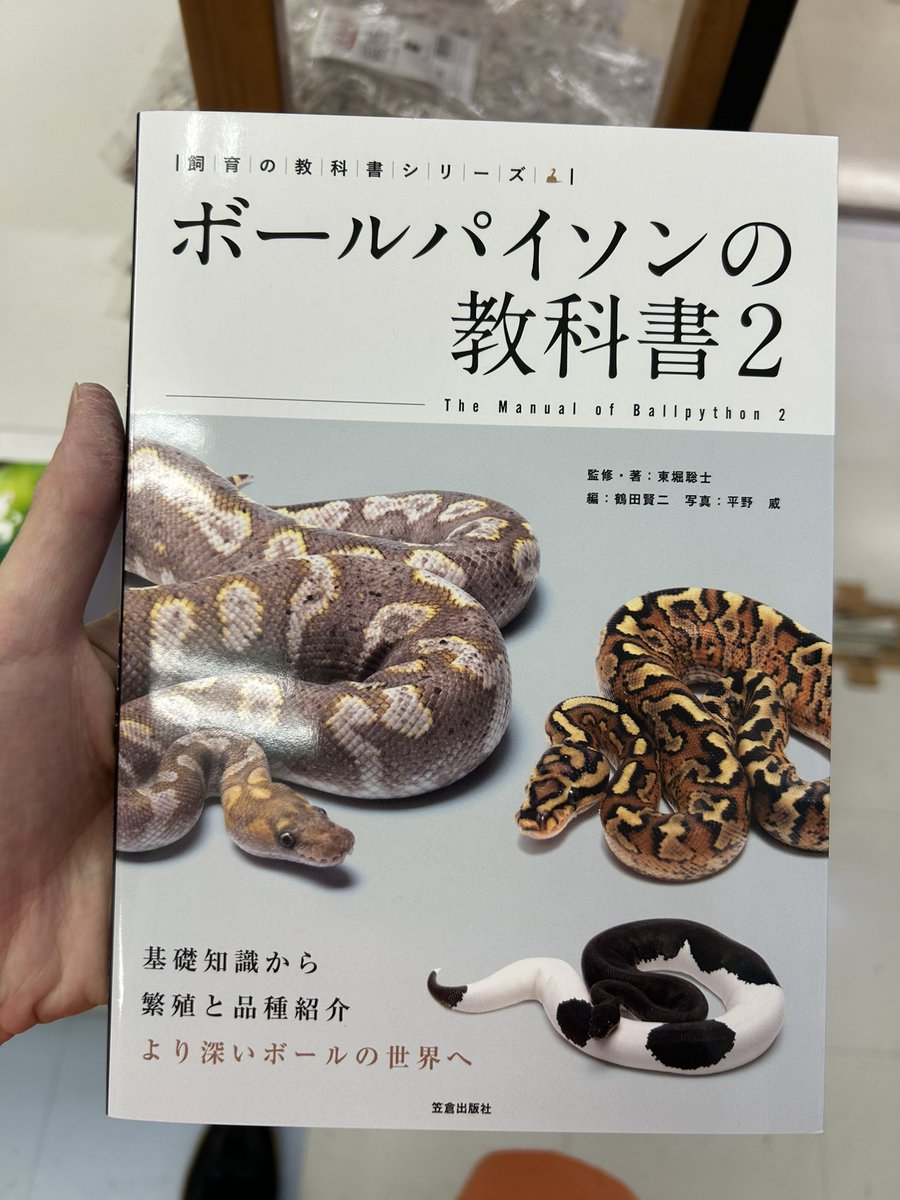 06shockwave (@06shockwave) / Highlights / X