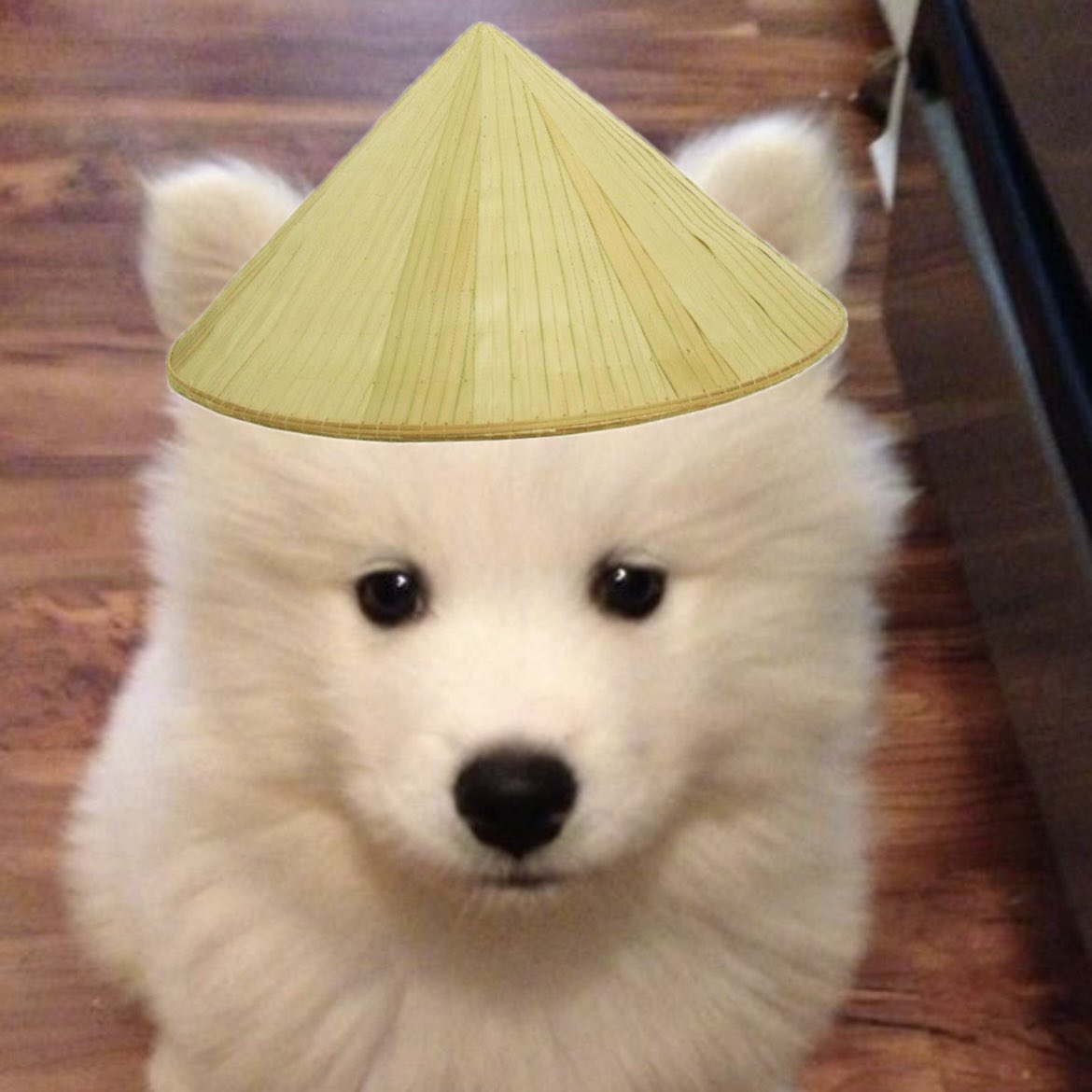 EMIBONNIE 1ST TIME IN VIETNAM
#EBFANDAYxVIETNAM
#emiamily #beonnnie #emibonnie