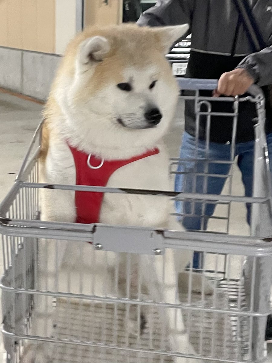 ْ (@65907_30_4) / Posts / X