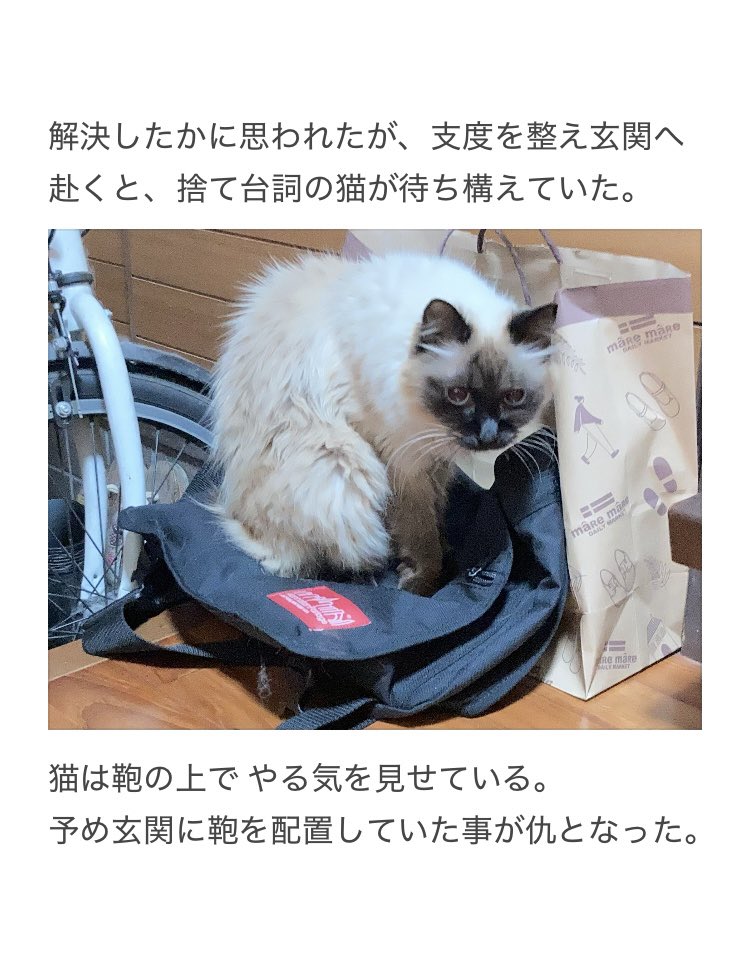 やーこ (@yalalalalalala) / Posts / X