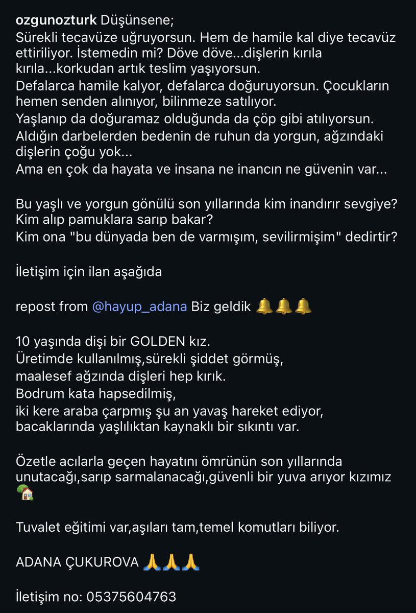 Ben eskiden köpeklerin gözüne baktığı zaman,herkes aynı manayı görüyor sanırdım.
Öyle değilmiş,acı şekilde anladım..

Kalan kısa ömründe,yuva arıyoruz bu çocuğa.
