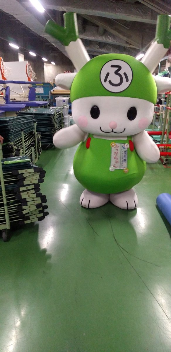 rubicks_iruma's tweet image. 本日は関東大会の役員🏐
関東のいろんなチームがおり勉強になりました。特に女子は良く拾うなぁ👍️　
しかし深谷は遠いなぁ🚙💦
開会式にふっかちゃんが登場❣️ずっと動き回っいたせいかものすごいしんどそうでした😅なのでバックヤードを通って帰っていくふっかちゃんに一礼をしちゃいました🙏