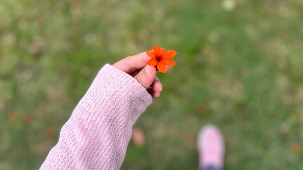 sajidareads's tweet image. Writers are always writing, either writing in their heads, in their hearts or continuously writing during breaks.

— Letters to Young Writers, Sharifah Nadirah.