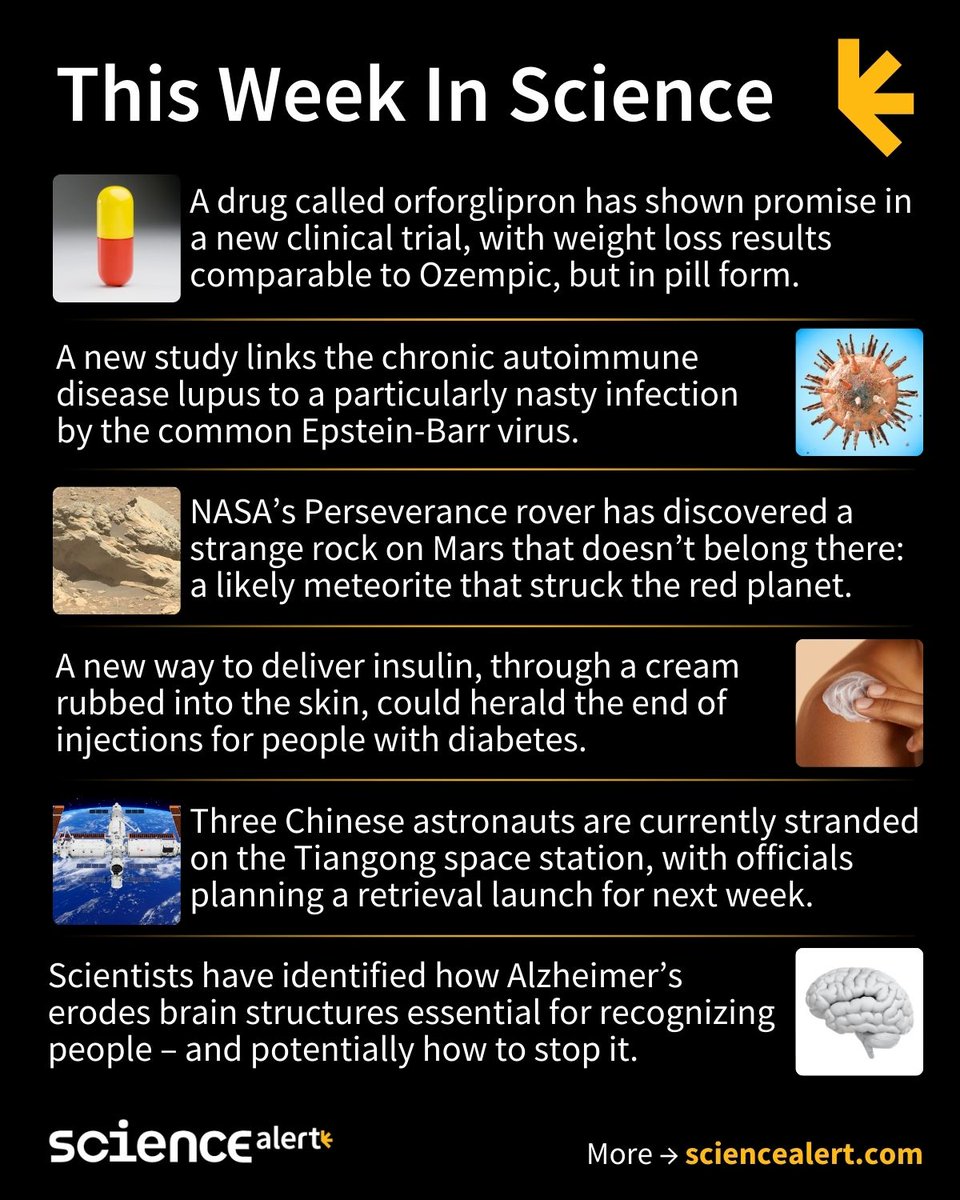 ScienceAlert's tweet image. This Week In Science (November 16 – 22) 🧪

An oral Ozempic alternative, an alien rock, insulin skin cream, and much more!

Links to the full articles in thread! 🧵  

#ScienceNews #ScienceAlert #STEM #ThisWeekInScience #TWIS