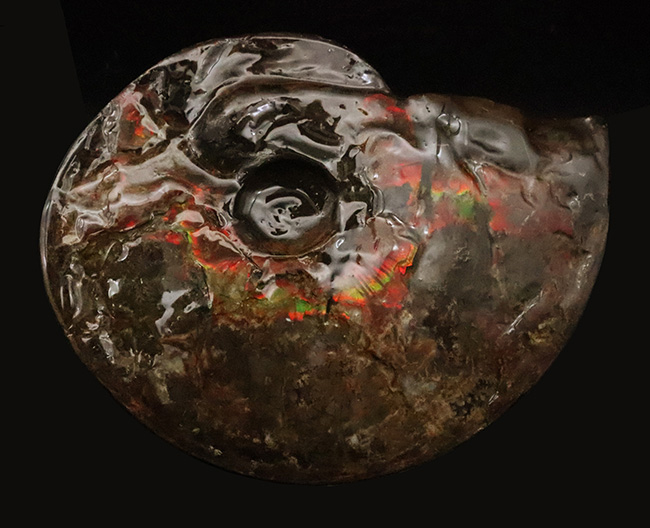 極めて希少な「完全体ホールタイプ」……らせん構造と炎色が溶け合う