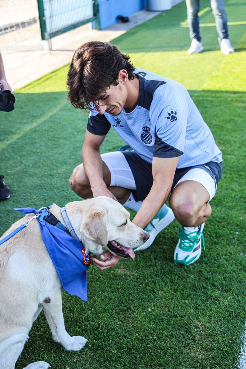 RCD Espanyol de Barcelona tweet media