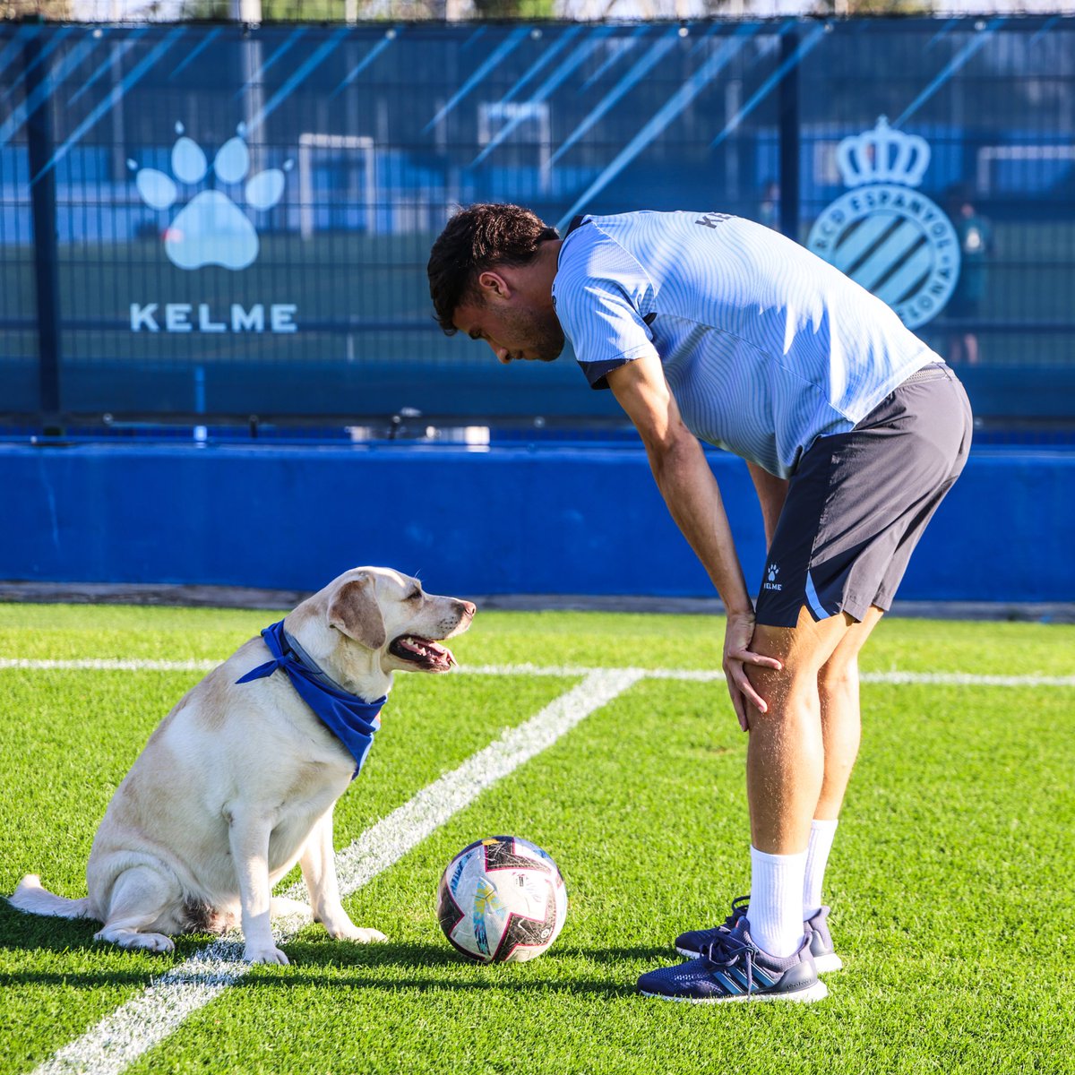 RCD Espanyol de Barcelona tweet media