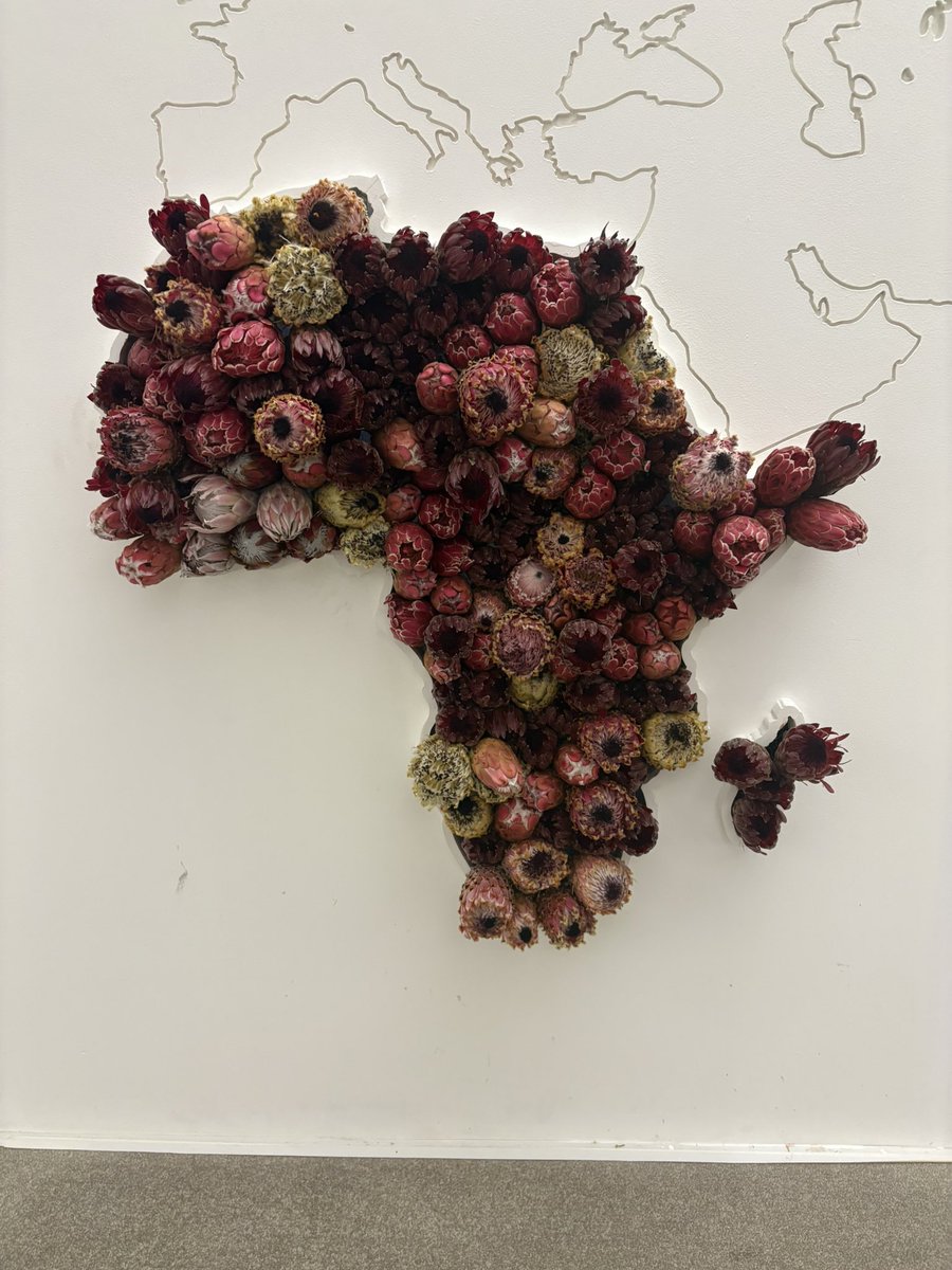 Noxxcee's tweet image. The Protea, the national flower of South Africa, stands proudly as the symbol of our G20 Presidency, representing resilience, renewal, and hope. Truly fitting for the moment. 

#G20SouthAfrica