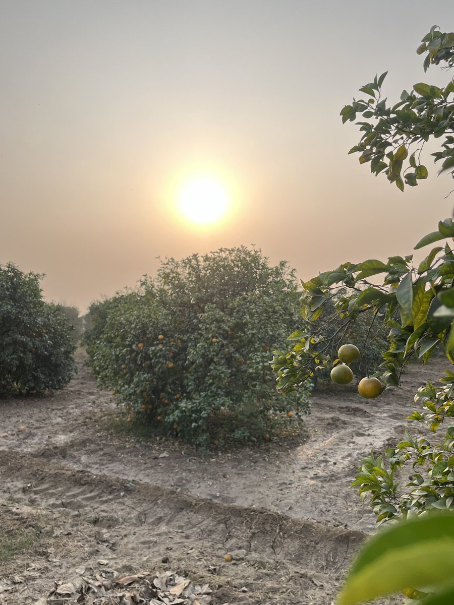 I Hope you are feeling better now