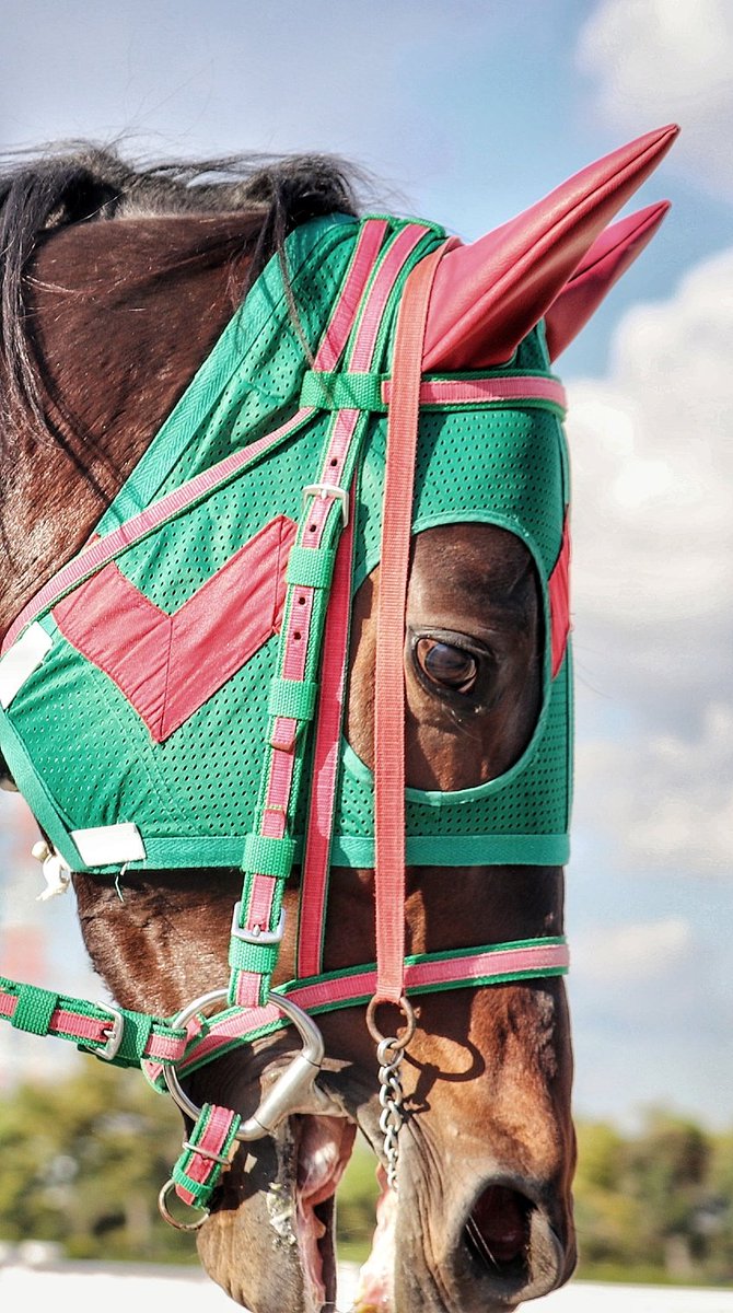 あこ (@aco1125vodka) / Posts / X