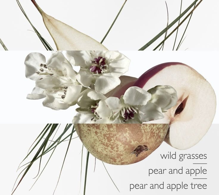 ssoheeq's tweet image. &quot;still gorgeous in the blur, &quot; — they said💭