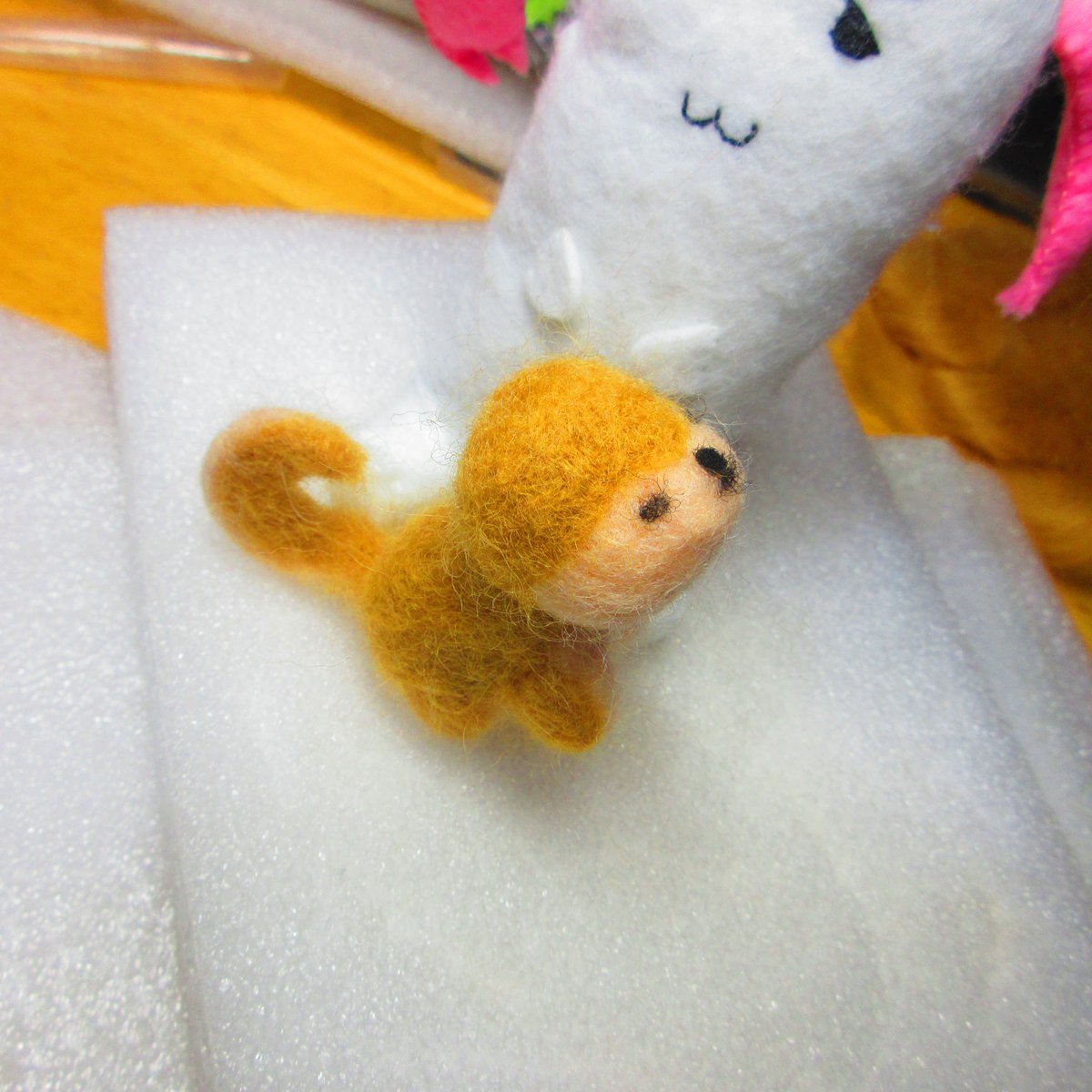 生まれたてのシバサキちゃん かわよ(✿◕‿◕✿)