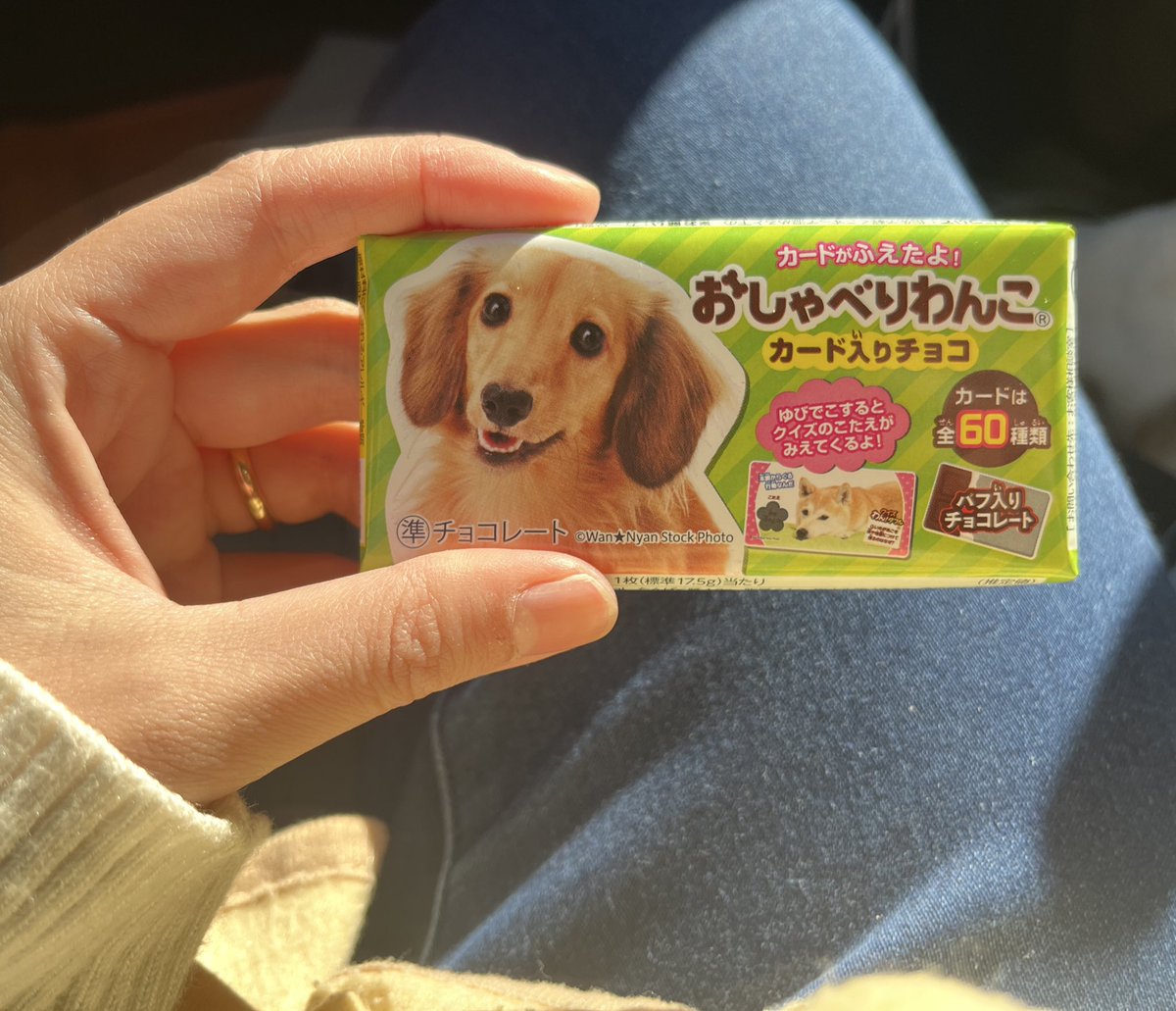 こらしょ tweet media