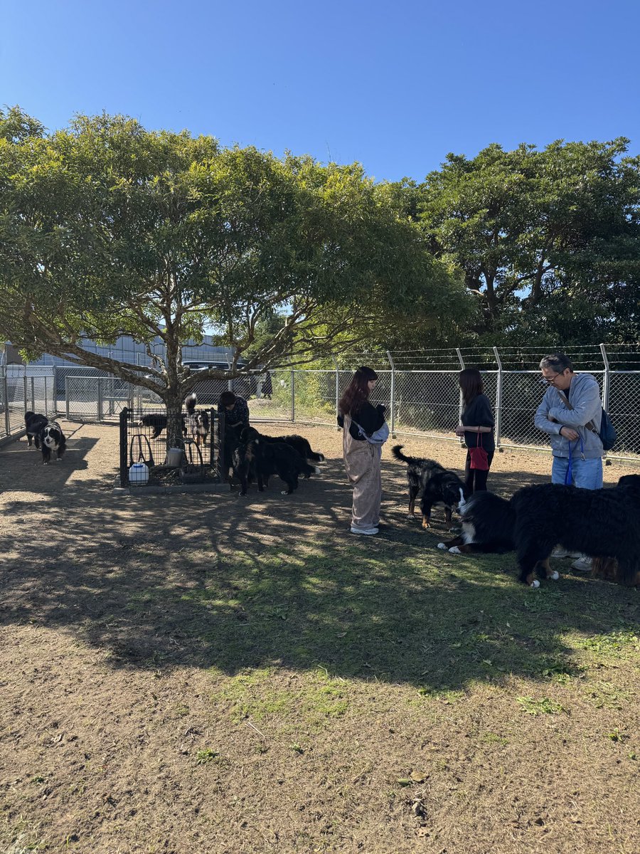 里帰りどんちぃ