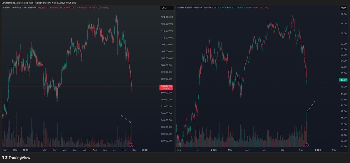 Edward Morra tweet media