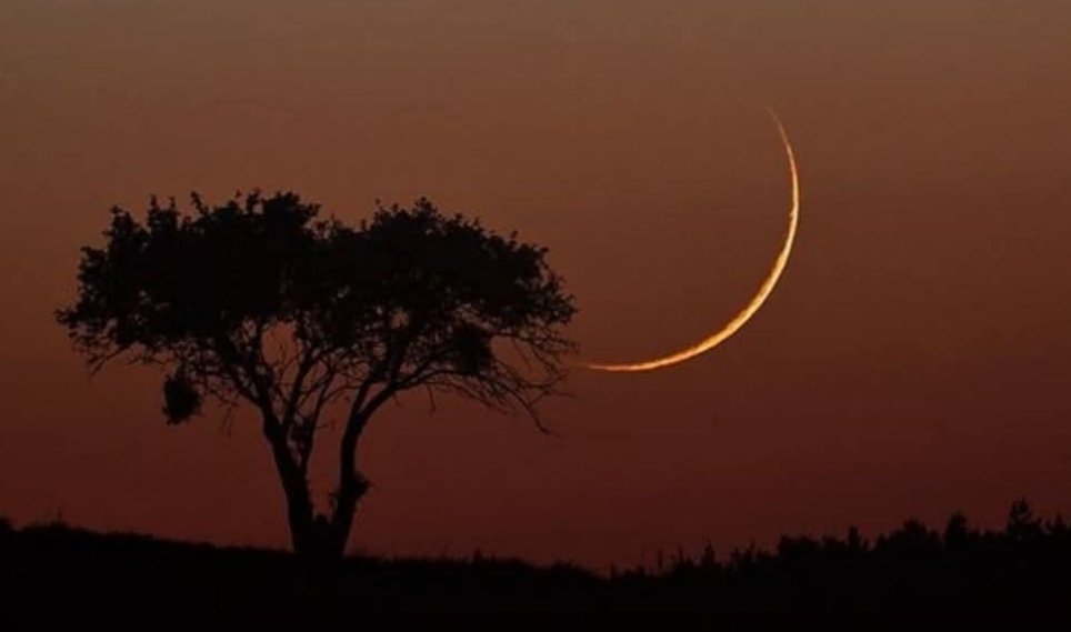 abdullh7755's tweet image. هلال ليلة الثاني من جمادى الثاني مساءاليوم 
 يزين الأفق جهة الجنوب الغربي بعد غروب الشمس وقد  إبتعد عن وهج الشمس مقارنة بليلة البارحه يمكث الهلال في الأفق ساعة ونص بنسبة إضاءة: 4.5%
 حيث يظهر عليه تأثير( وهج الأرض) حيث نرى هلال القمر مضاءً بوضوح بينما يظهر باقي القرص بلون رمادي