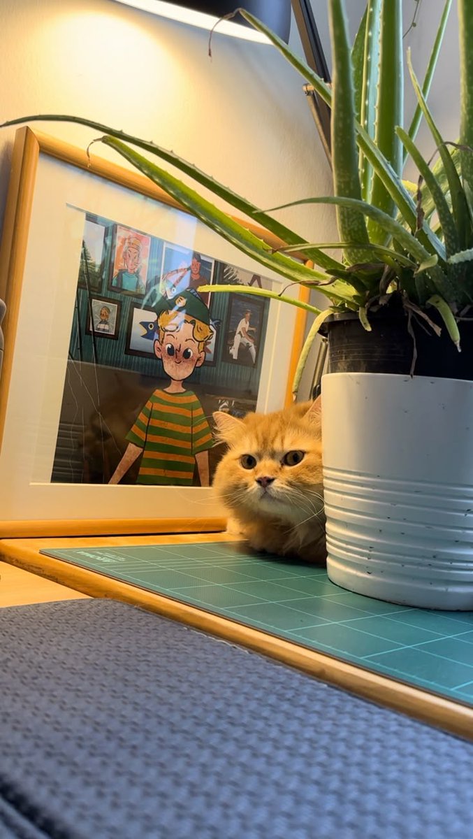 CNinja99969's tweet image. Hey you 🥹... Who's that, they call me "Nala" the Ninja cat 😍