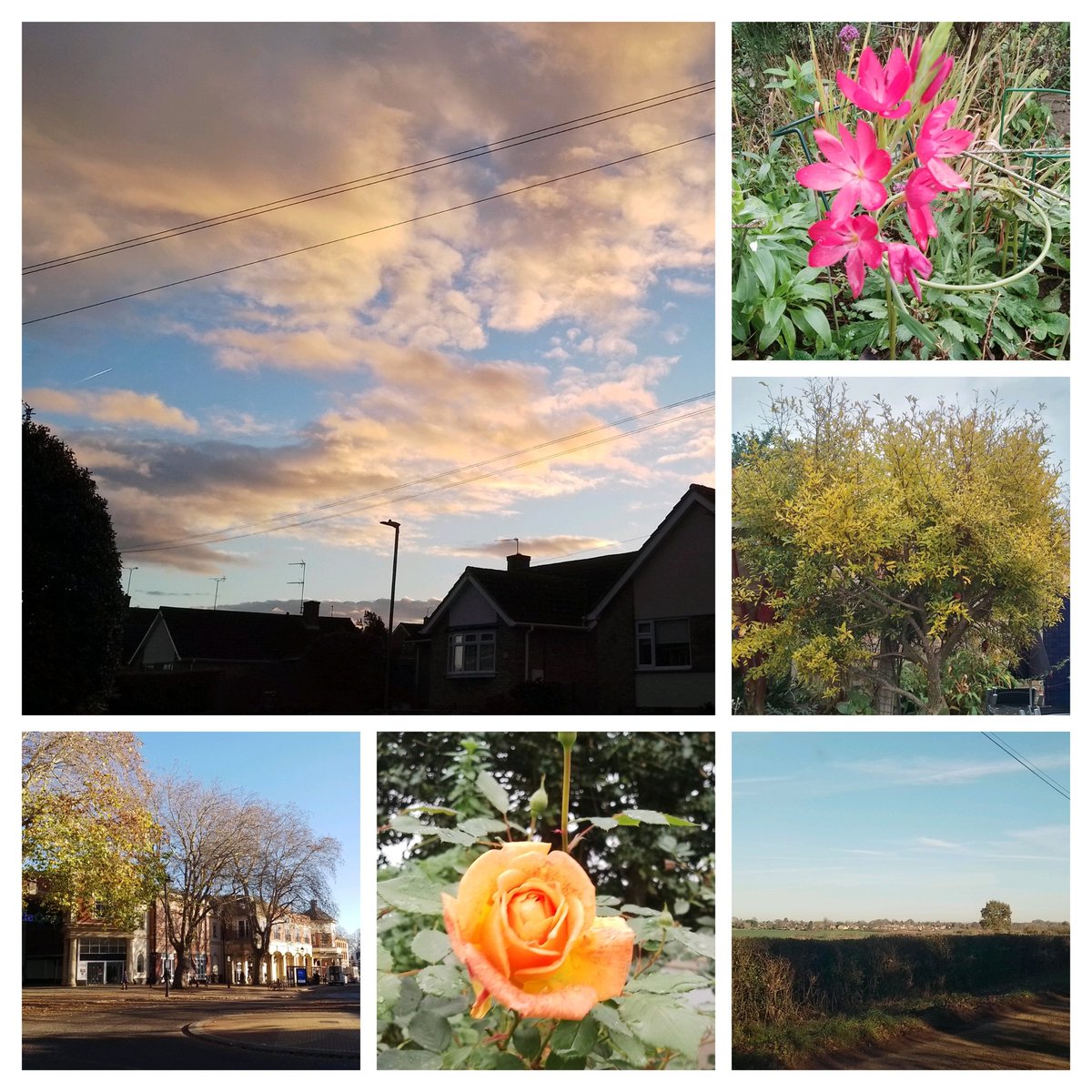 My last six pictures #sixonsaturday