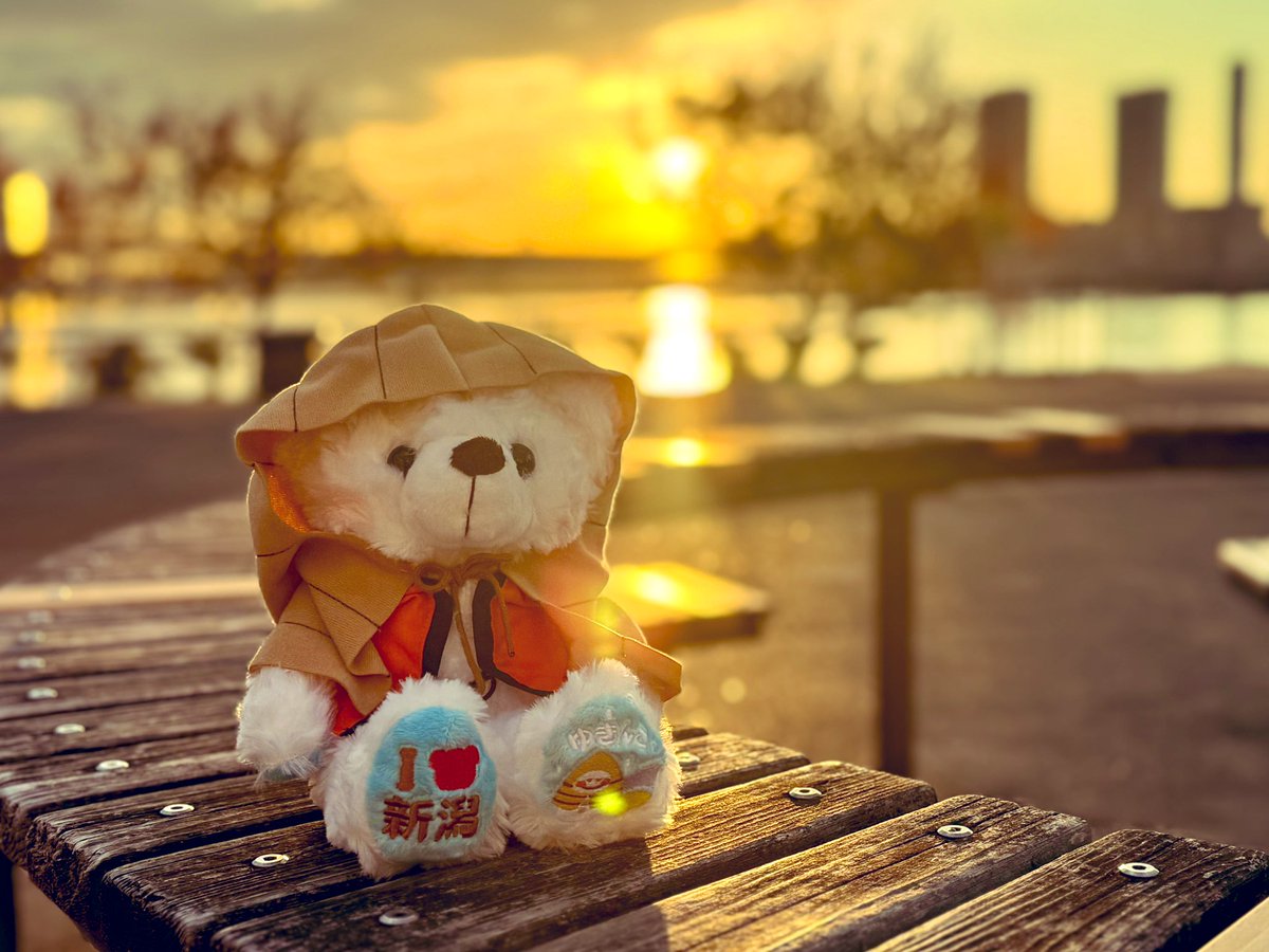 あきょん|*・ω・) (@DC2TypeR2) / Posts / X