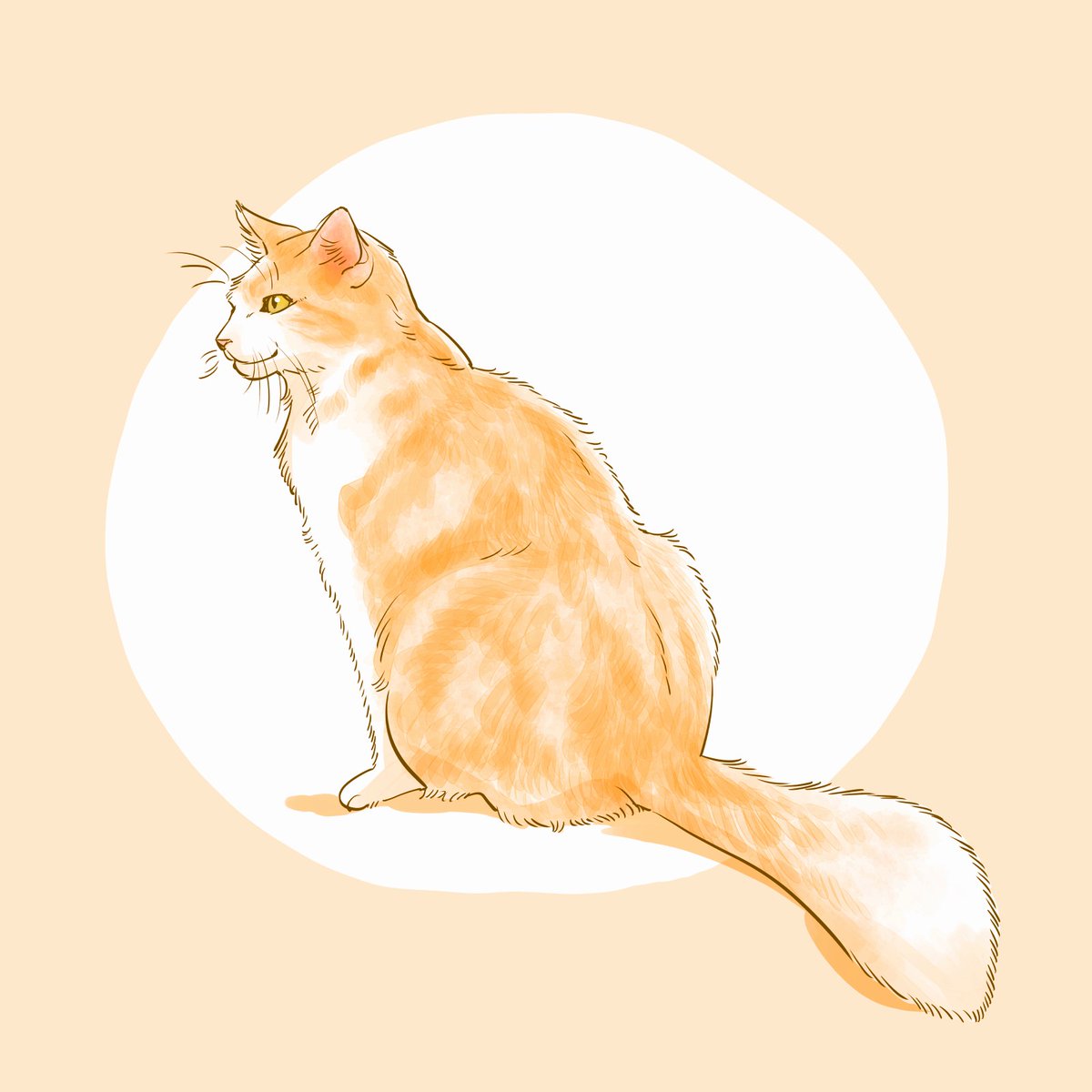 ヤマモト麺 tweet media