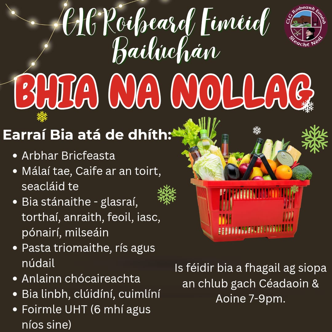 Bailiúchán Bhia na Nollag - Christmas Food Drive