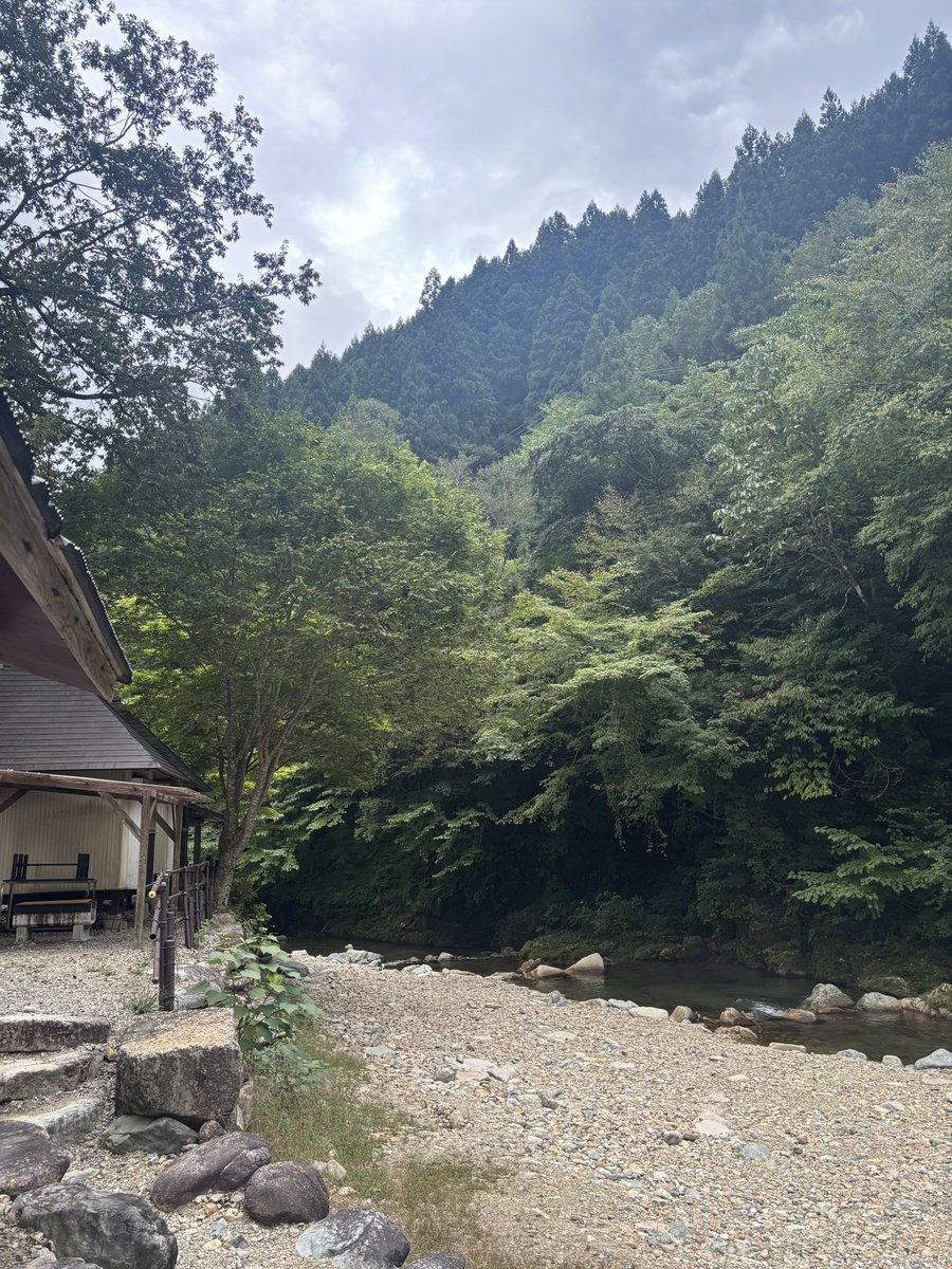 ship_h10's tweet photo. 自然🌿 https://t.co/mztrdBin3Y