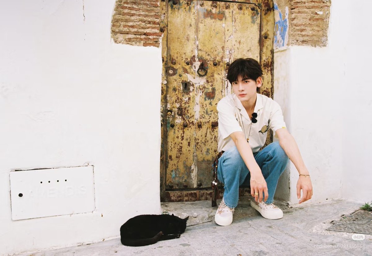 zxw updates (@zxwupdates) on X