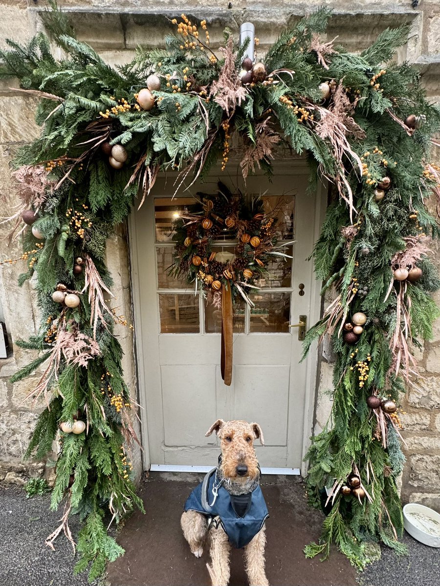 GuruGryff's tweet photo. What a lovely display of natural beauty (and the garland is pretty good too!)
#Painswick #Cotswolds #JuniperCoffeeShop https://t.co/uHhDwpMXUy