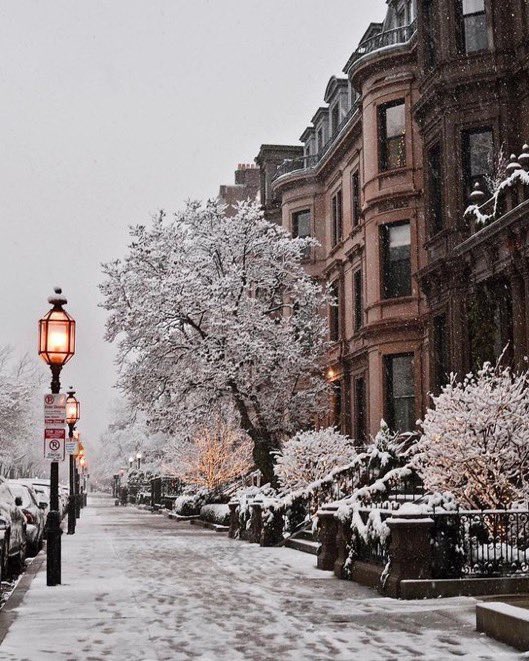 visualtherapy0's tweet image. Boston, Massachusetts