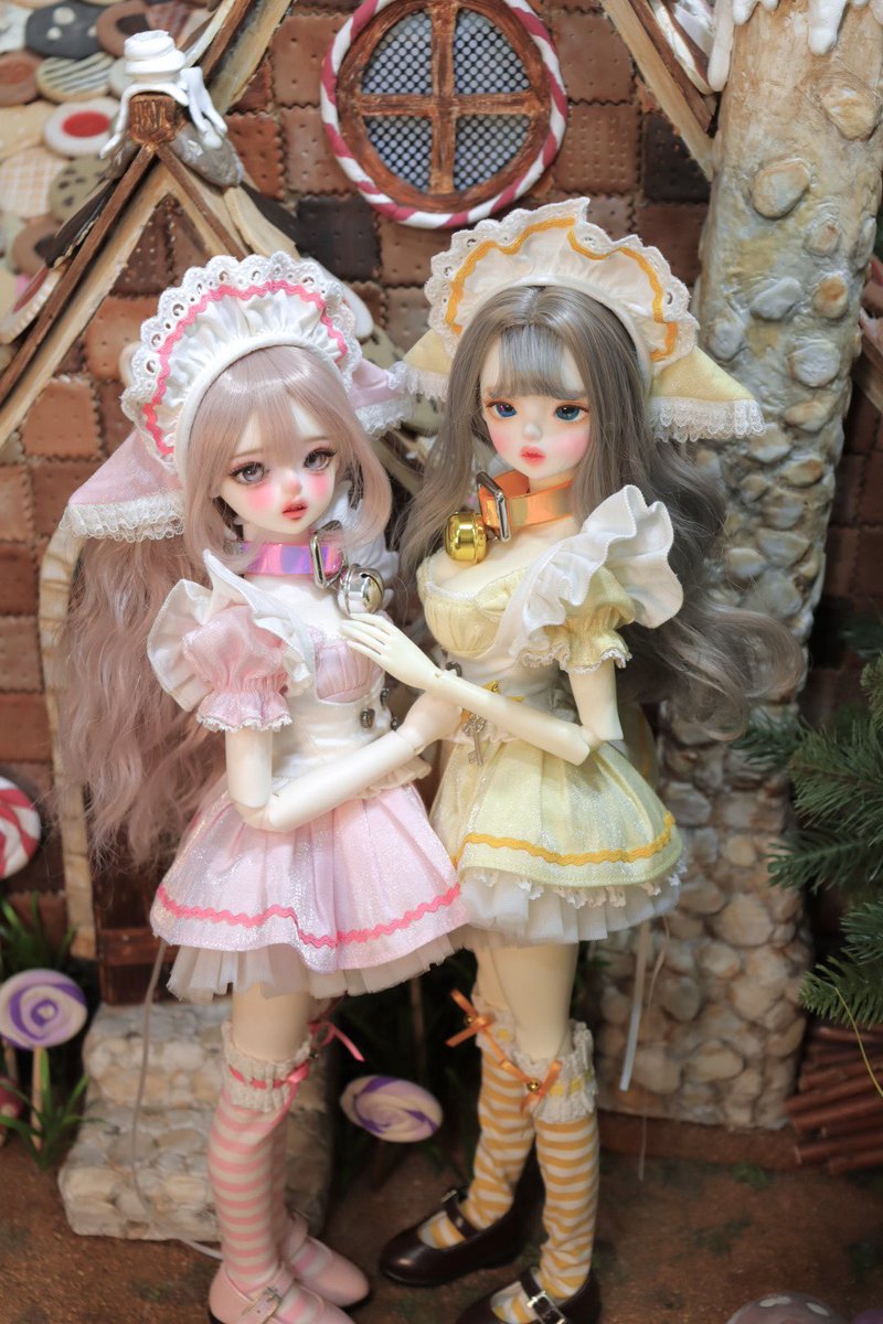 _pori1719's tweet image. 고양이가 둘🐱🐱