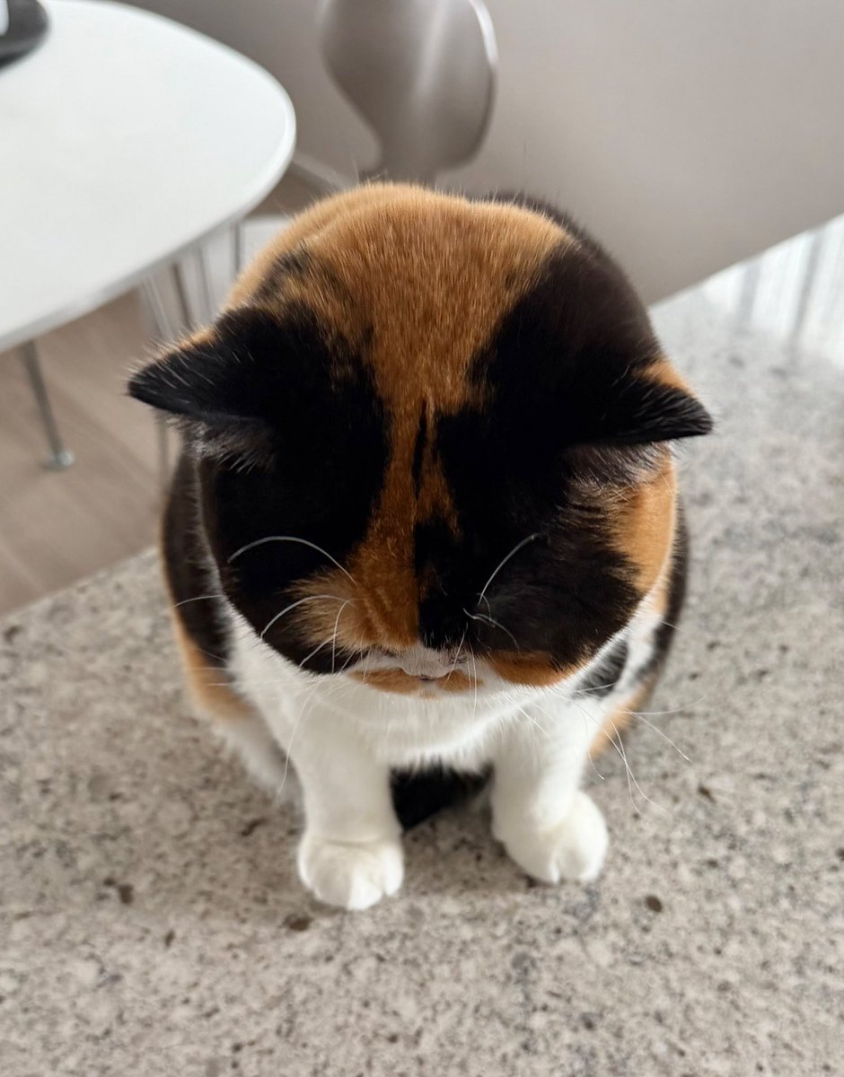 PikaPikaGems Official 💎✨ (@PikaPikaGemsJP) / Posts / X