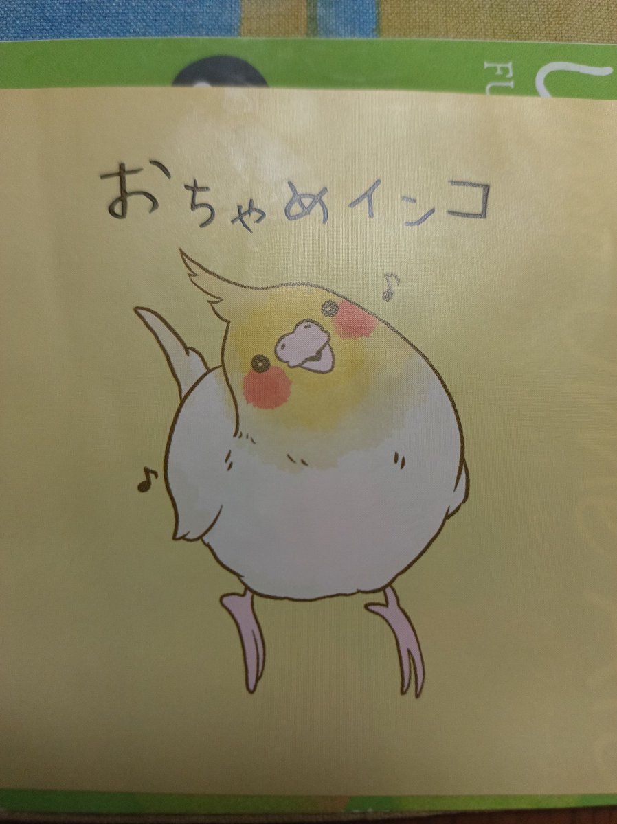 まめちゃん まめちゃんの変化｜なみそ