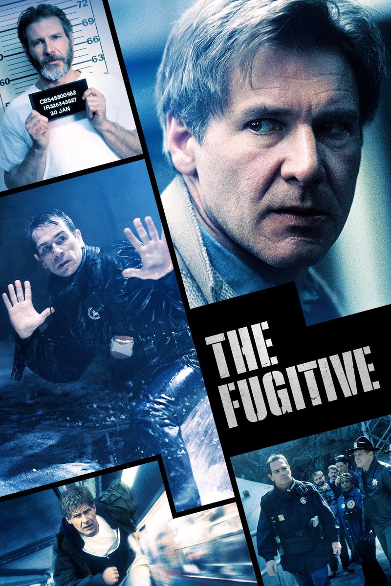 What rating would you give The Fugitive (1993) out of 5 ??
