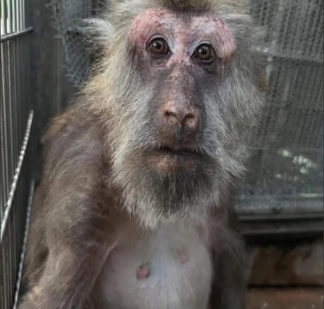 RealDaviesJ's tweet image. When your three weeks girlfriend asks you why you&apos;re still single.