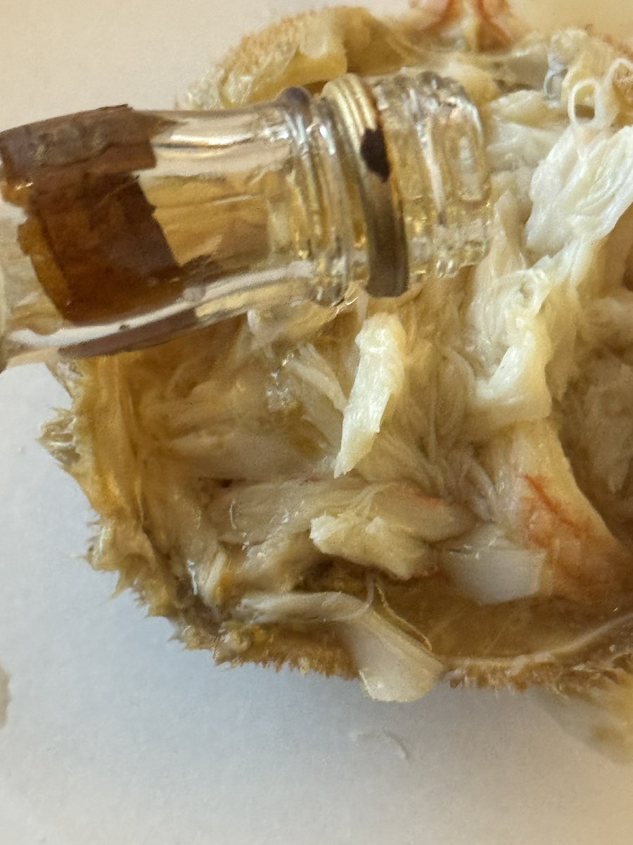 ホントの話、
『毛蟹の味噌と身を和えたところに煙いウイスキーを垂らして食べる』
これをやったことが無い人は、是非機会を作ってやってみて頂きたいです✨
超オススメです！