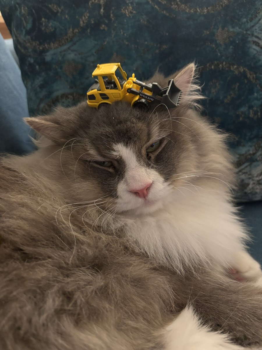 kafamda kentsel dörüşümler