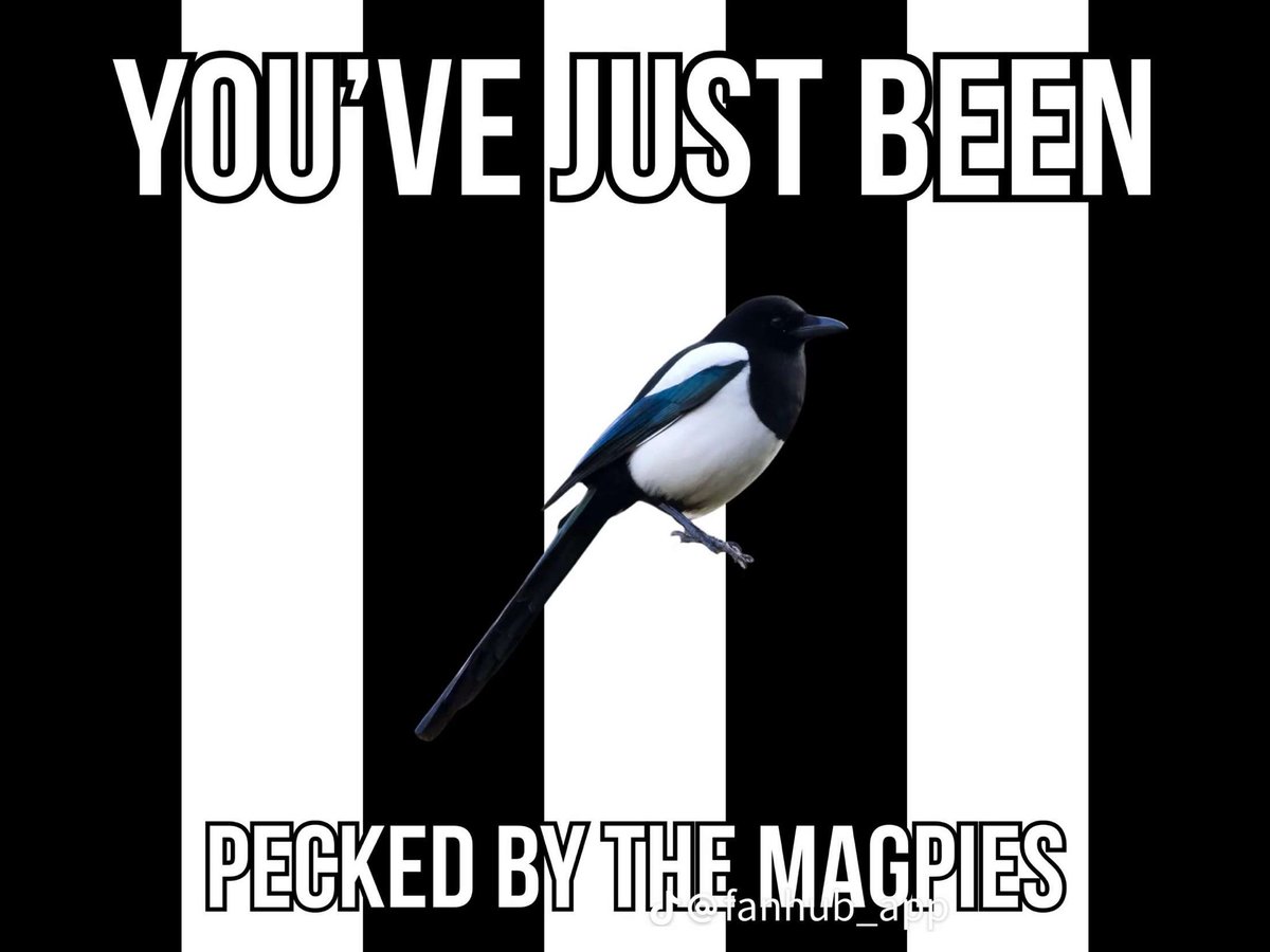 Bradley Dunkiert tweet media