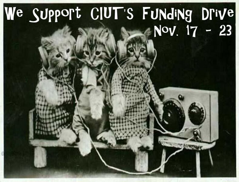 The Silver Screen Surfer tweet media